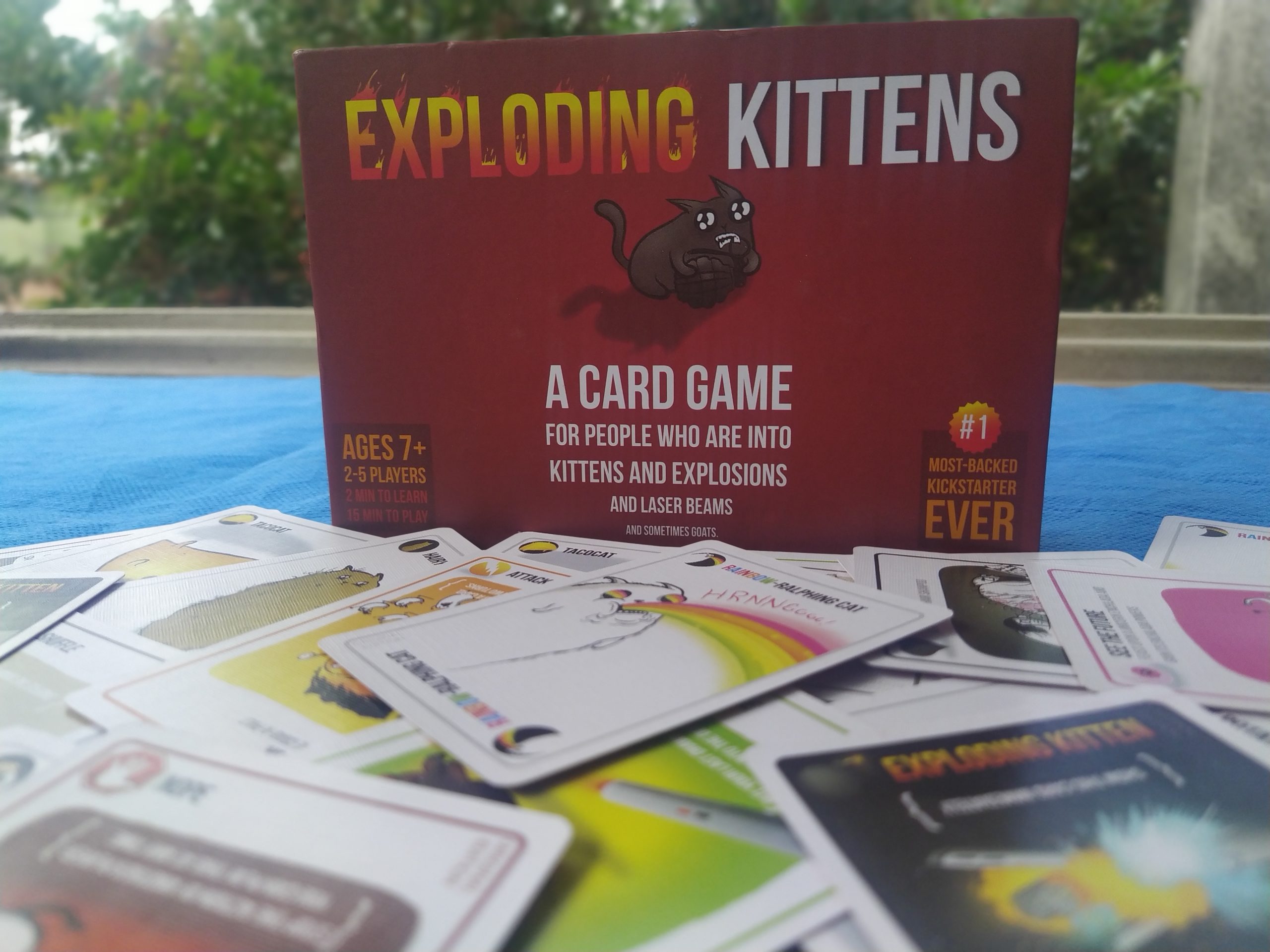 Galápagos Jogos Exploding Kittens, Cartas de 2-5 jogadores com o menor  preço - Compra Fácil